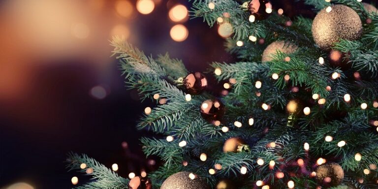 ¿Sabías que los Testigos de Jehová celebraban la Navidad? La secta antes de la década de 1970